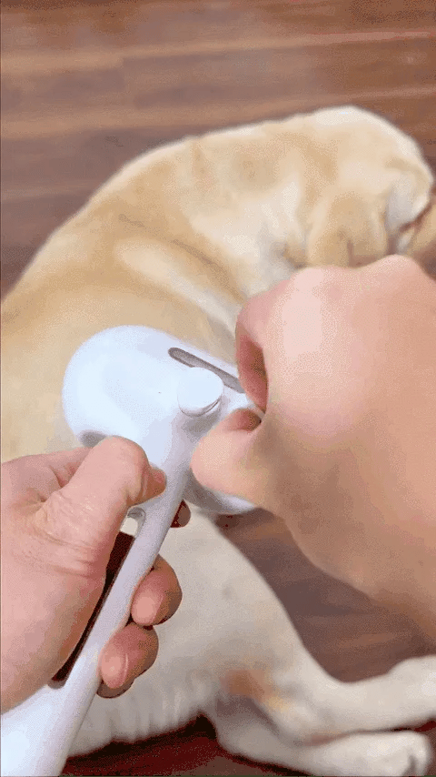 Kumkis's Pet Hair Removal Spray Device