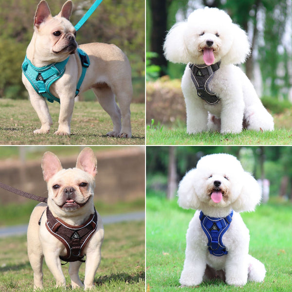 No-Pull Dog Harness with Leash Set Adjustable Padded Pet Vest