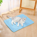 Pet Cooling Mat Double-Sided Washable Pad for Dogs and Cats