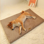 Orthopedic Dog Bed Washable Non-Slip Pet Cushion