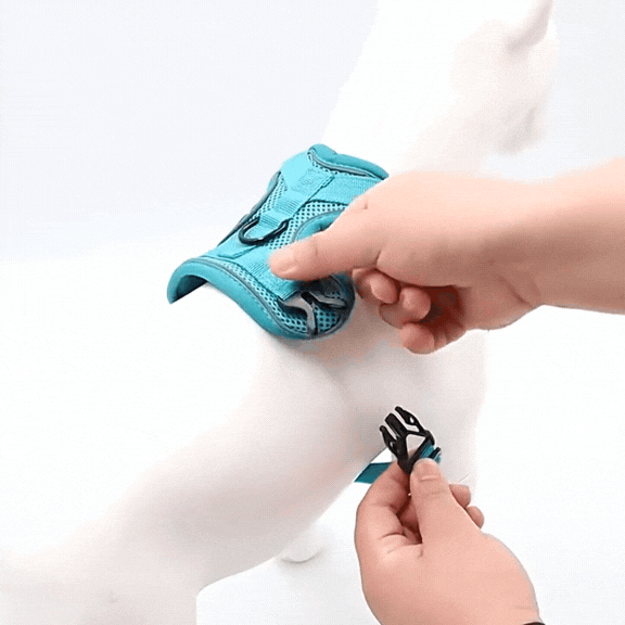 No-Pull Dog Harness with Leash Set Adjustable Padded Pet Vest